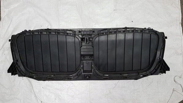 Kühlergrill BMW X3 G01 X4 G02 FRONTGRILL 5A1DA48 Kühlergitter