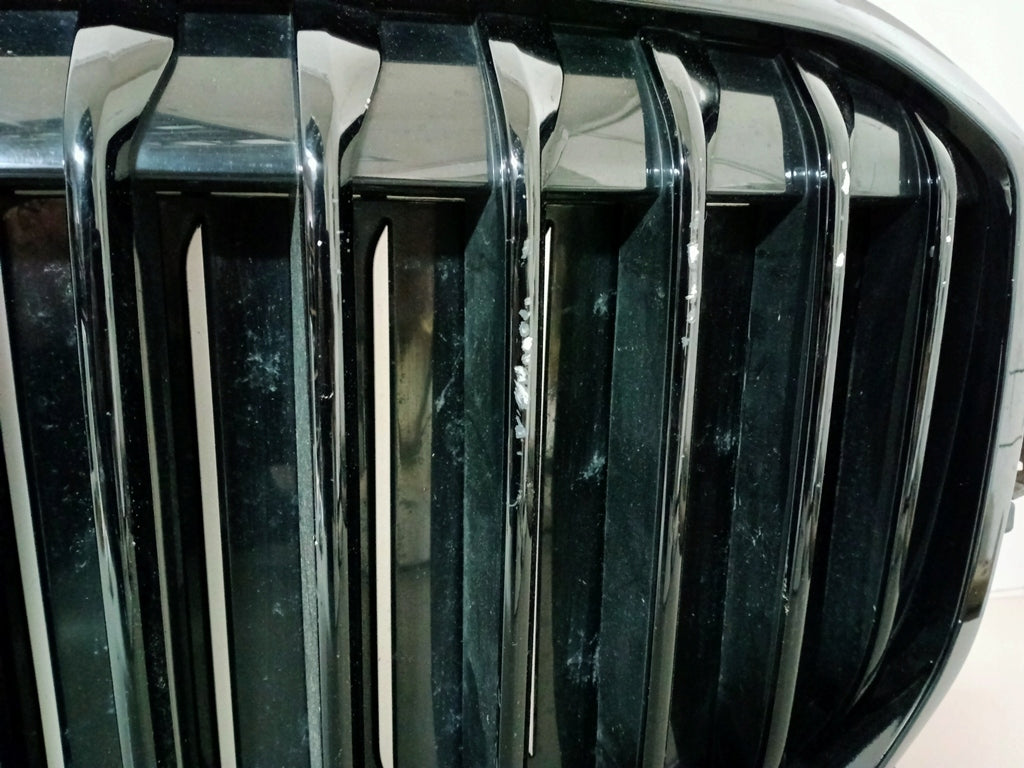 Kühlergrill BMW X7 G07 FRONTGRILL Kühlergitter