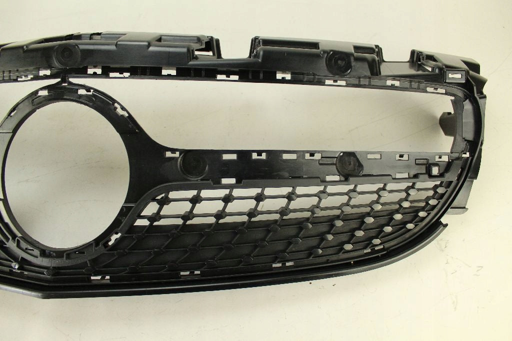 Kühlergrill Mercedes W172 FRONTGRILL A1728881060 Kühlergitter