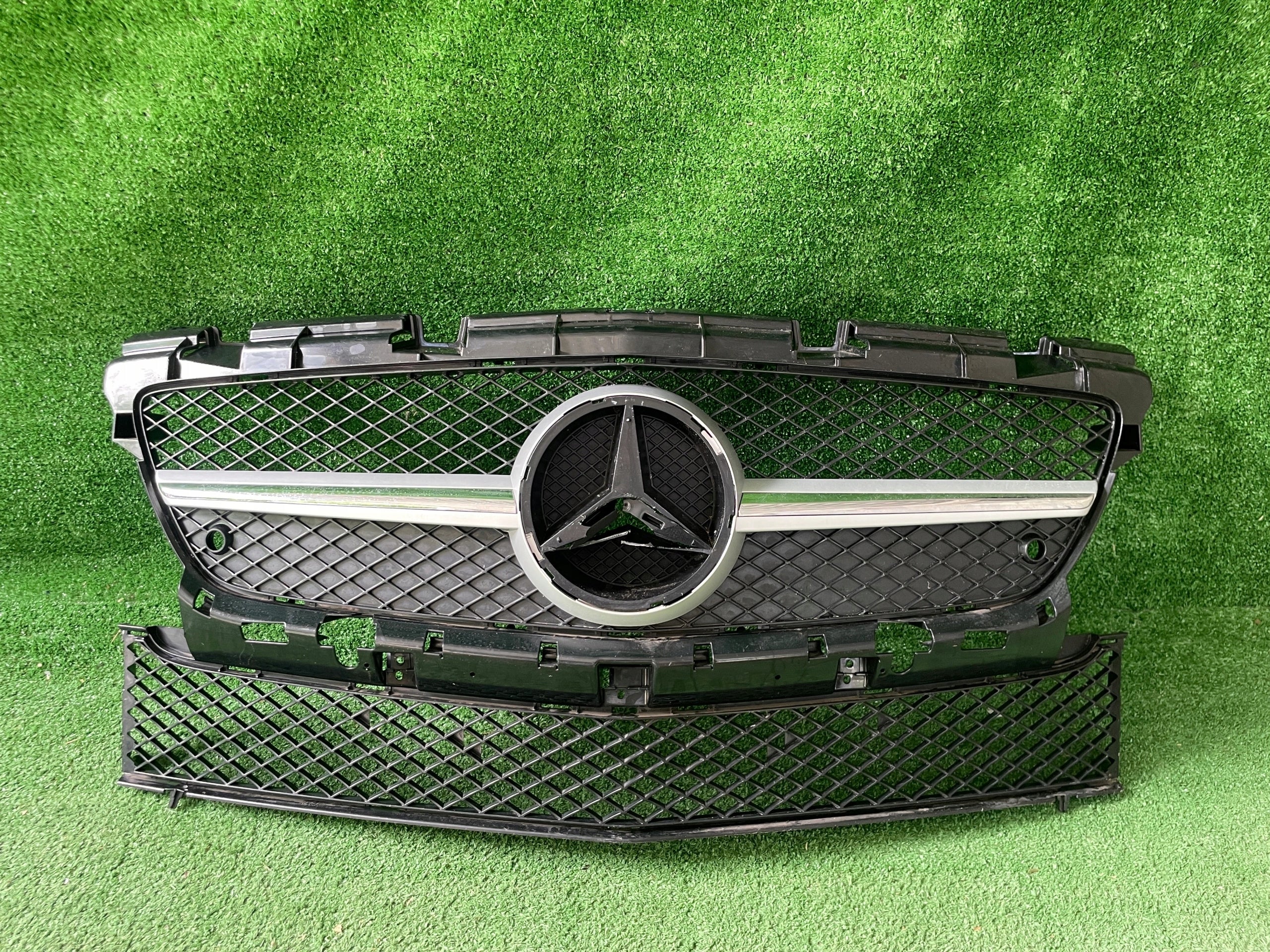 Kühlergrill Mercedes W172 FRONTGRILL A1728880160 Kühlergitter