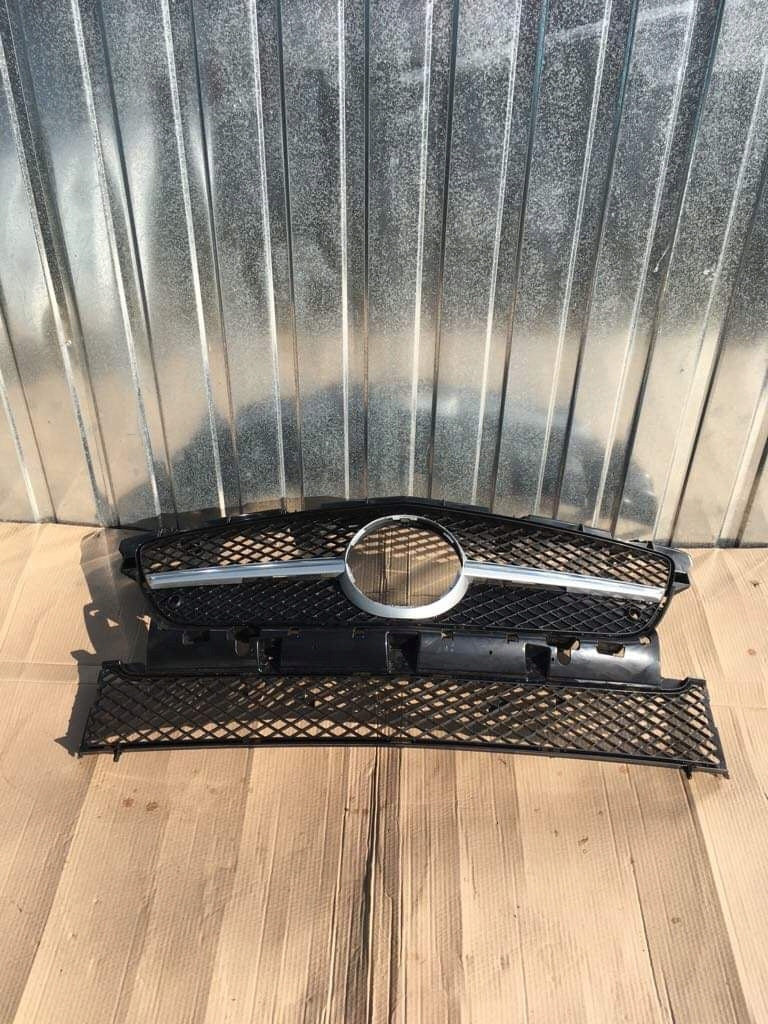 Kühlergrill Mercedes W172 FRONTGRILL A1728880160 Kühlergitter